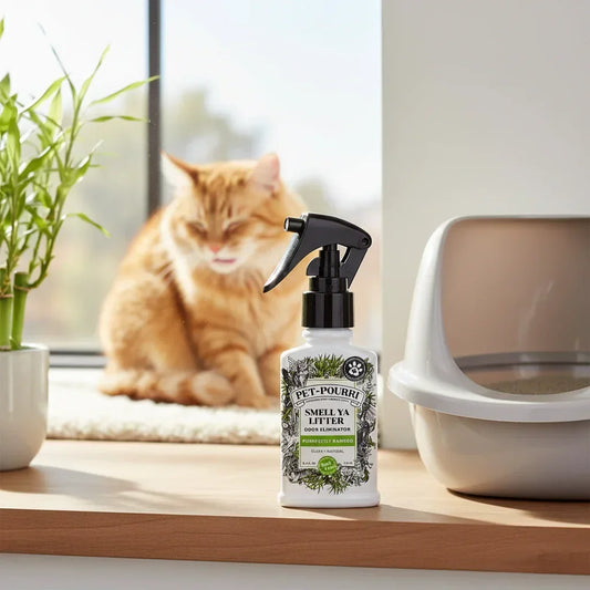 Natural Bamboo Cat Odor Refresher Spray and Litter Box with Ginger Cat - Eco-Friendly Pet Care