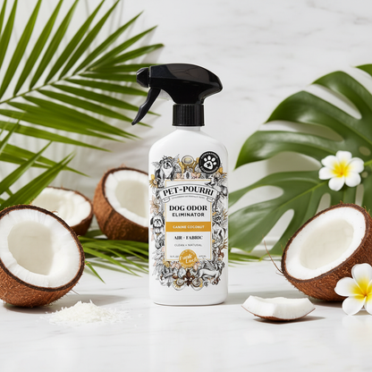 Premium product shot with coconuts